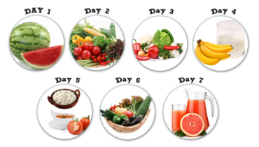 Nourish and Thrive: Exploring the Power of Special Diets